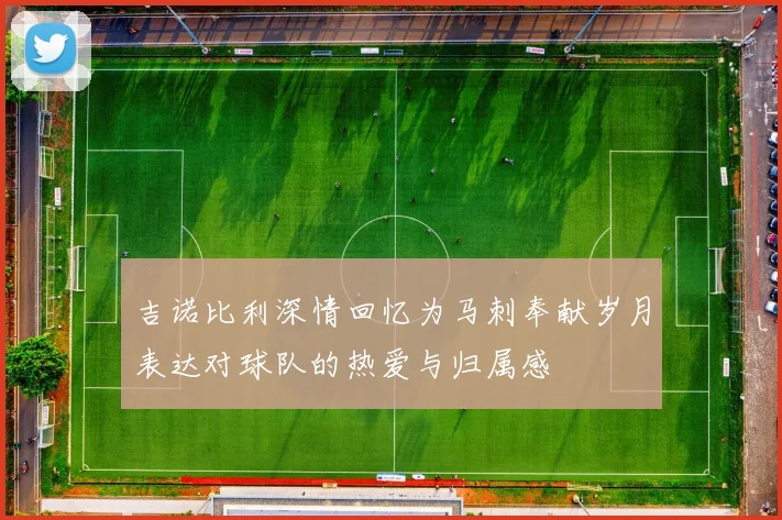 吉诺比利深情回忆为马刺奉献岁月表达对球队的热爱与归属感